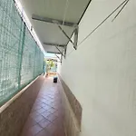 Spina